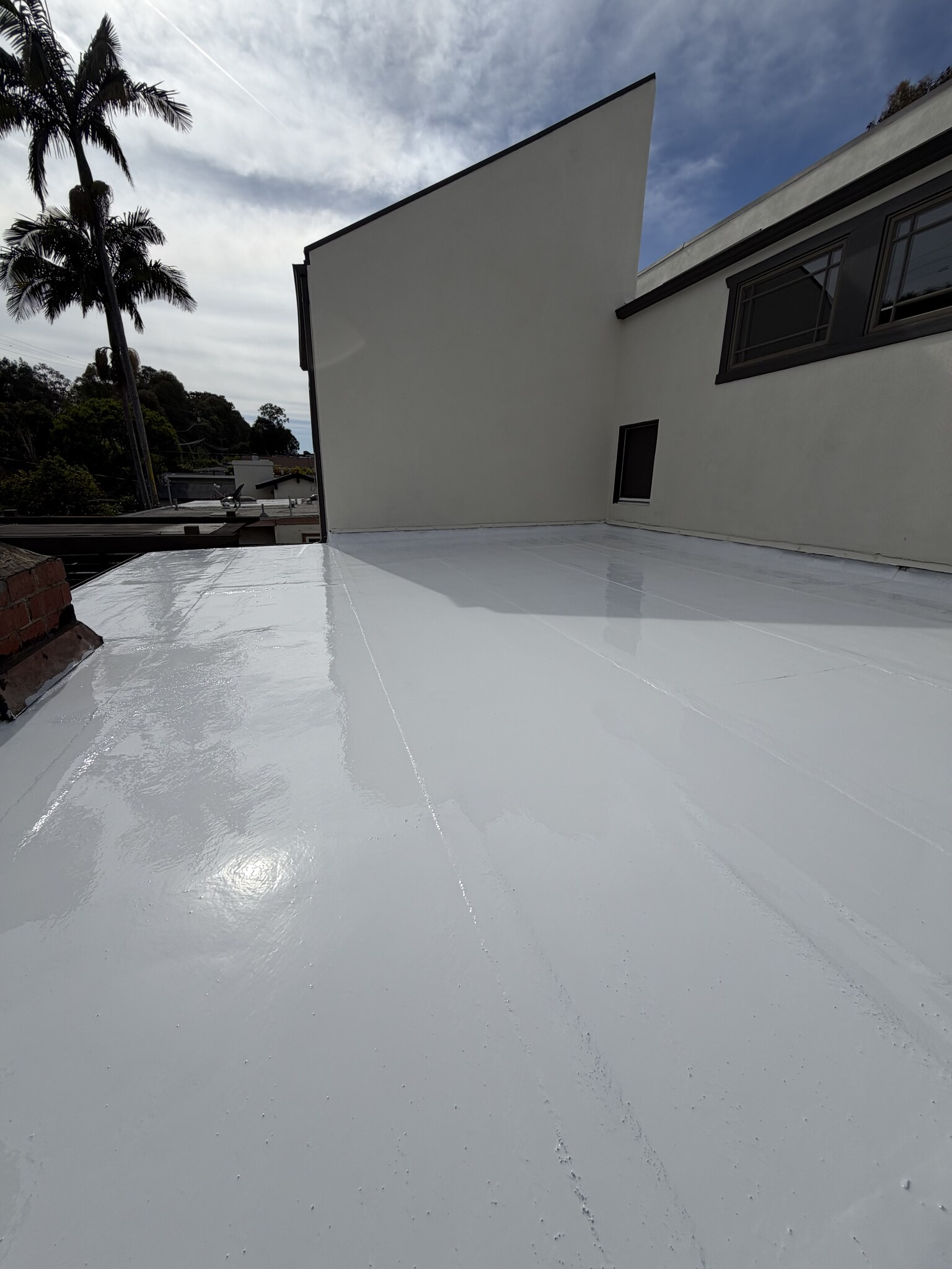 Silicone roof coatings